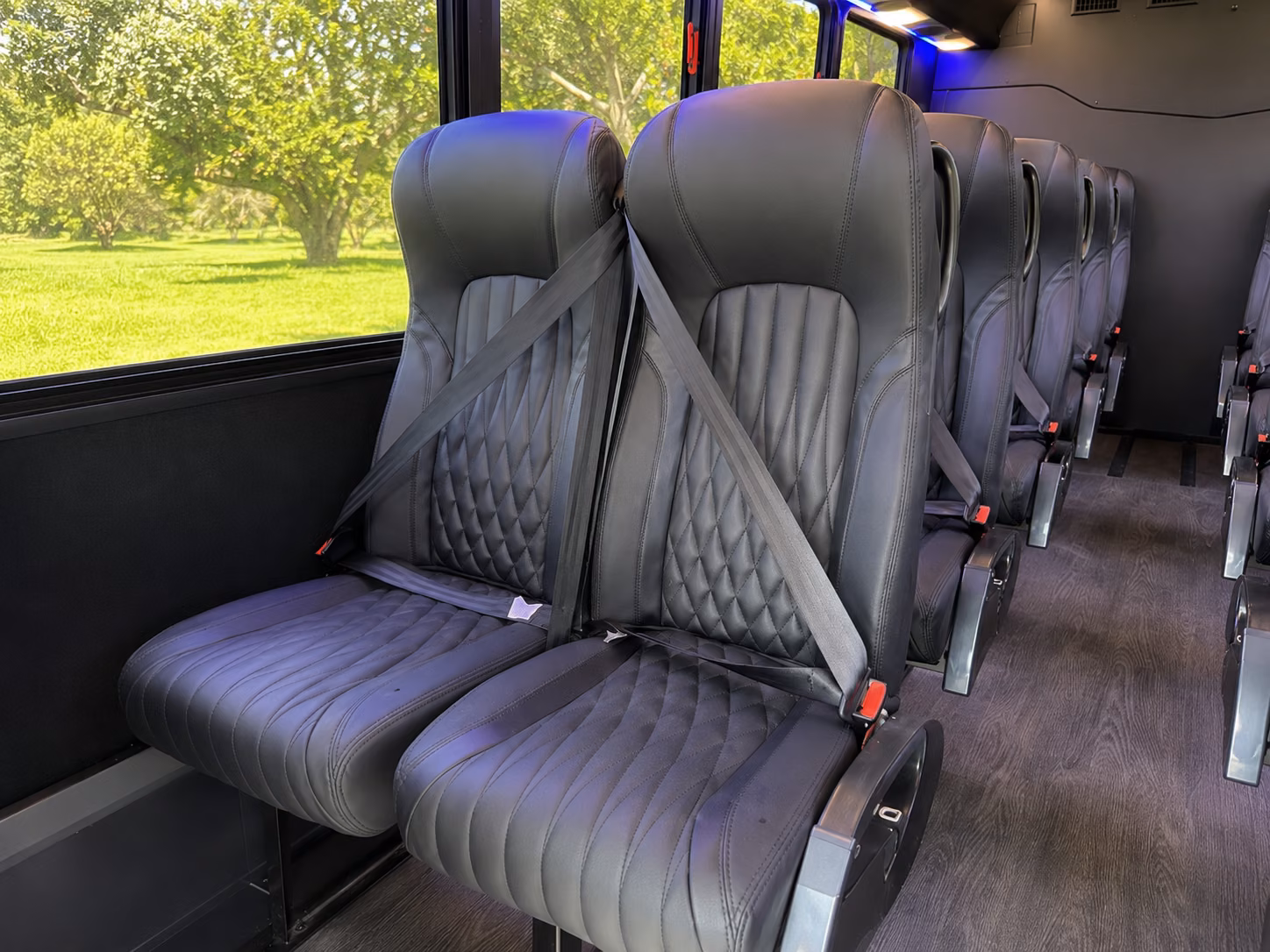 kissimmee 20 passenger minibus inside