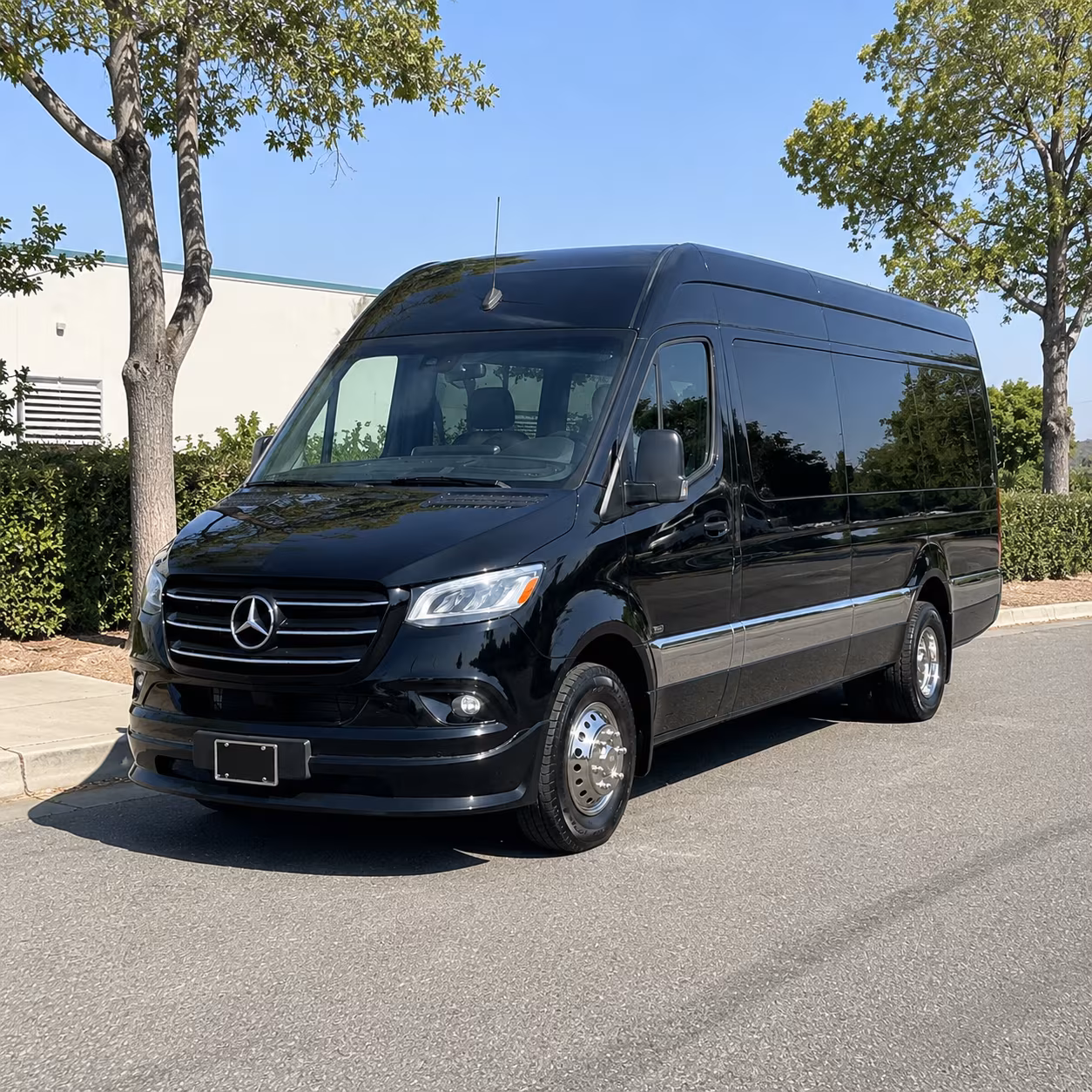 kissimmee sprinter van with driver